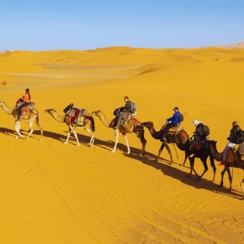 7-Day Desert Tour from Rabat to Marrakech
