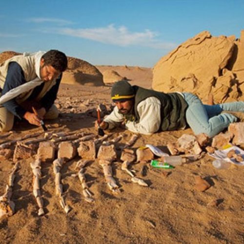 morocco fossil hunting tour