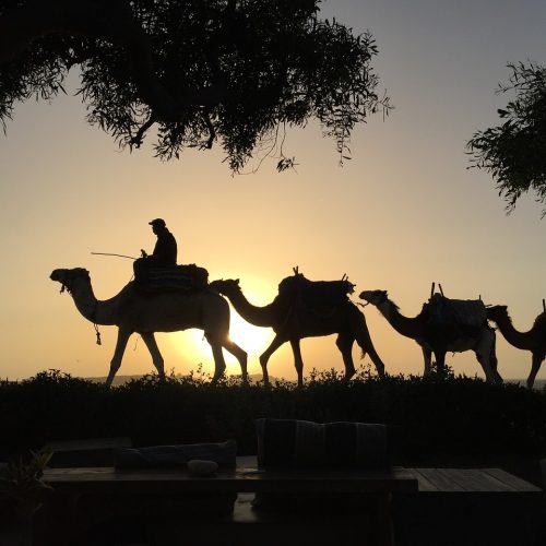 6 days desert tour from chefchaouen to marrakech