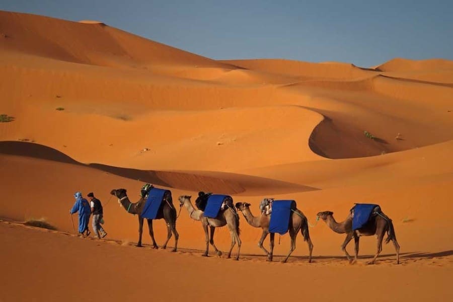 8 days desert trip from Marrakech to Tangier