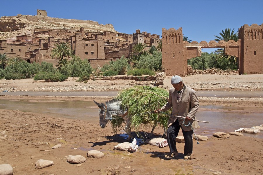 10 days tour from tangier to marrakech via desert