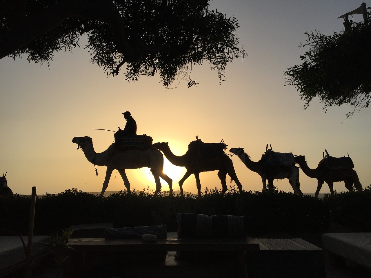 6 days desert tour from chefchaouen to marrakech